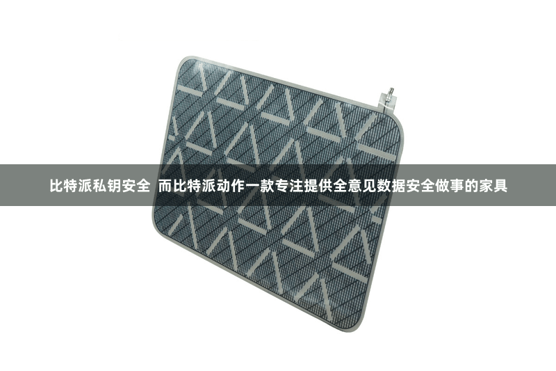 比特派私钥安全  而比特派动作一款专注提供全意见数据安全做事的家具